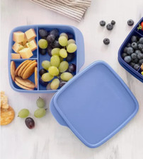 Tupperware Clever Pausen Dose