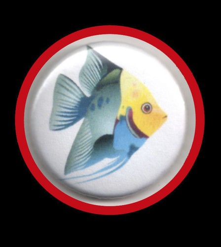 Fisch button - nr.1, "button"
