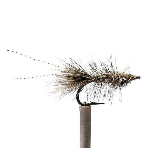 Fliegen meerforelle gra - fliegen,