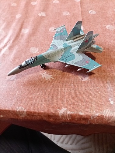 Kampfflugzeug uschi 35s - kampfflugzeug, su-35s