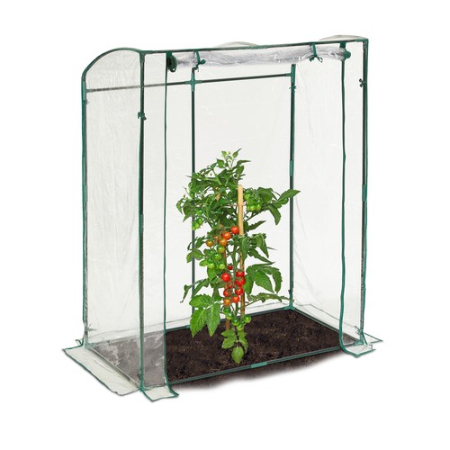 Tomatengewächshaus