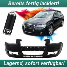 Lackiert LY9T