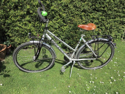Bio bike treckingrad pegasus - -,