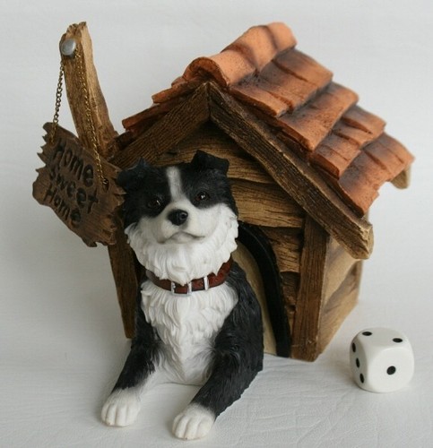 Border collie hundehaus - collie, im