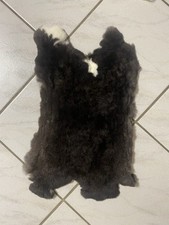 Kaninchenfell Dalmatiner Rex Schwarz Gegerbt