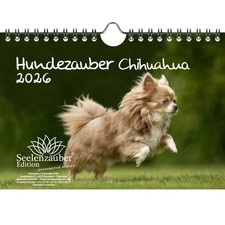 Hundezauber Chihuahua DIN A5