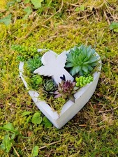 Bepflanztes Herz aus Beton mit