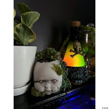 Halloween Giftflasche Grün 12