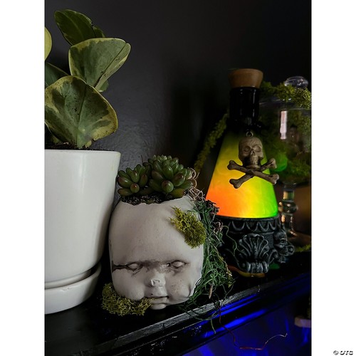 Halloween giftflasche grün - grün, 12
