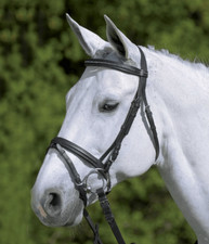 Waldhausen Schwarz MSH