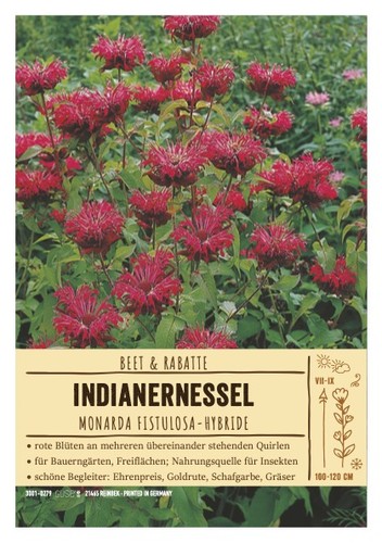 Monarda didyma cambrigde - monarda,