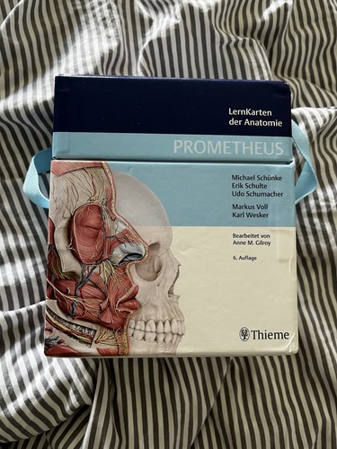 Lernkarten der anatomie - lernkarten,