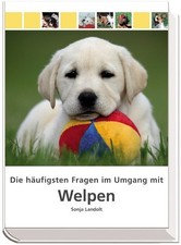 Die häufigsten Fragen im