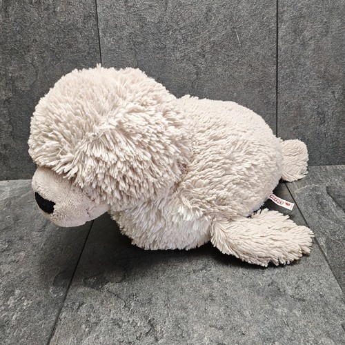Nici seerobbe robbe - robbe, seehund
