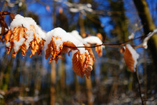 Nikon ED AF Nikkor  180mm f2,8