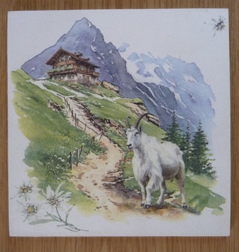 Deko hdf tiere - hdf,