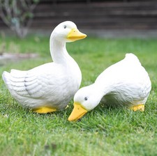 Gans gänse gänsepaar - gans,,