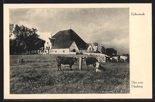 Ansichtskarte eiderstedt der - ansichtskarte, eiderstedt,
