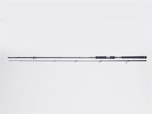 Mostal fishing rhein spinnrute - fishing,