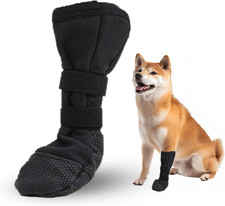 Hundeschuhe Pfotenschutz