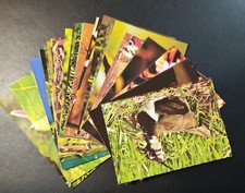 Penny - Bildband Sammelbilder " Schönheit der Natur " 1-50 kpt.