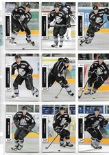 DEL 2012/13 - 25 verschiedene