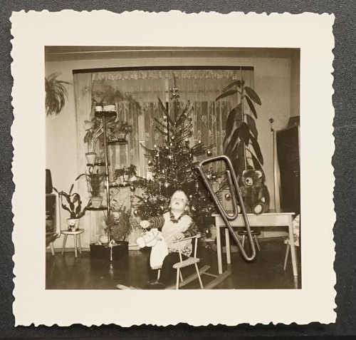Foto portrait weihnachtsbaum - portrait,