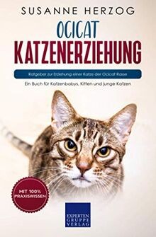 Ocicat katzenerziehung - katzenerziehung,