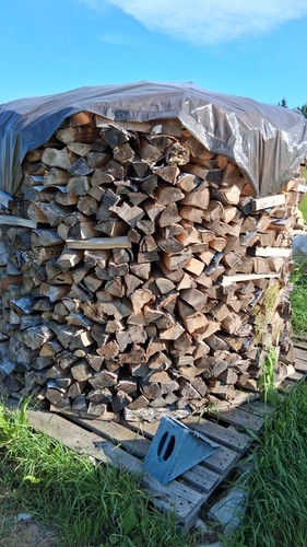 Brennholz kaminholz birke - brennholz/kaminholz,