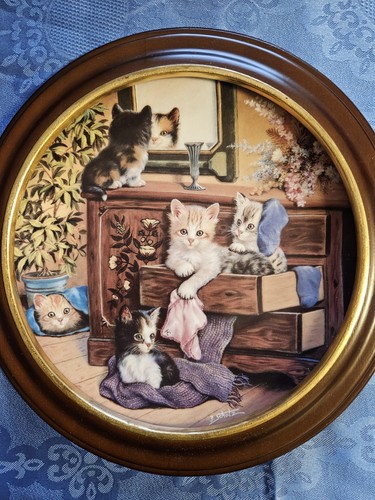 Katzen sammelteller wandteller - sammelteller,