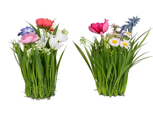 Formano blumenmix auf - ,