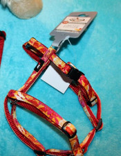 1 Stück More4dogs kleine