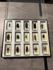 Mini Biester Sammlung mit