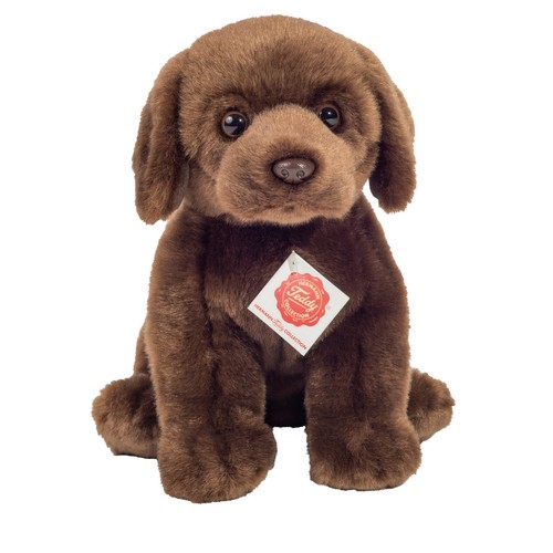 Teddy hermann labrador - teddy,