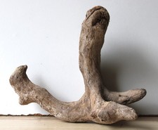 Treibholz Schwemmholz Driftwood 1   Wurzel Basteln Dekoration 22  cm lang