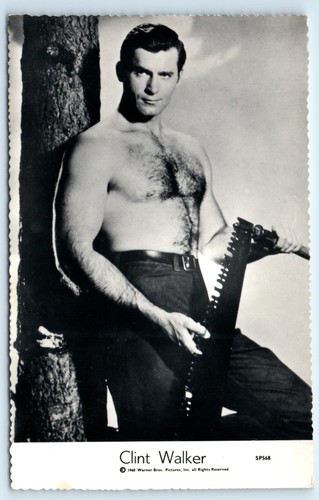 Postkarte clint walker bare - walker,