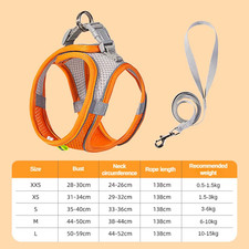 Welpen Geschirr Set Hunde