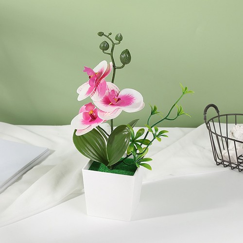 Künstliches phalaenopsis - künstliches,