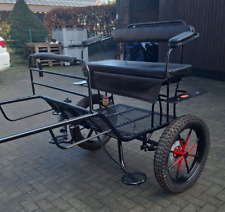  Gig mit Luftfederung - 19