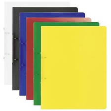 Brunnen Ringbuch FACT! A4 2