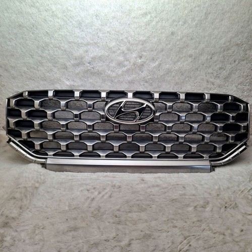 2021 2022 hyundai santa - 2021-2022,