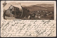 Lithographie Altenau i. Harz, Hotel Rammelsberg, Ortsansicht aus der Vogelschau 