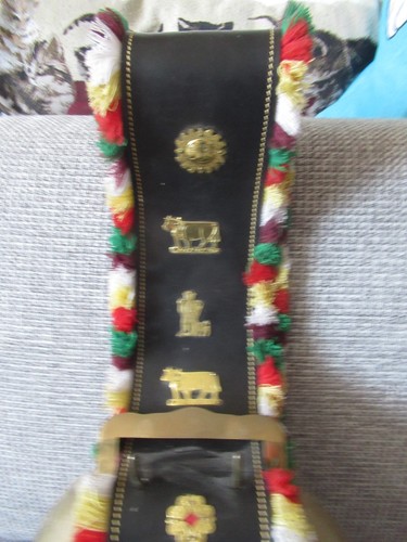 Schöne kuhglocke mit - schöne,