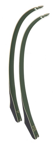 The fred bear - bear, recurve