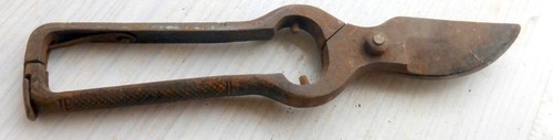 Alte kleine astschere schere - alte,