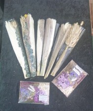 Trockenblumen, Pampasgras, verschiedene Sorten, mind. 350 Stück