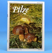 Pilze | Pilzkunde |