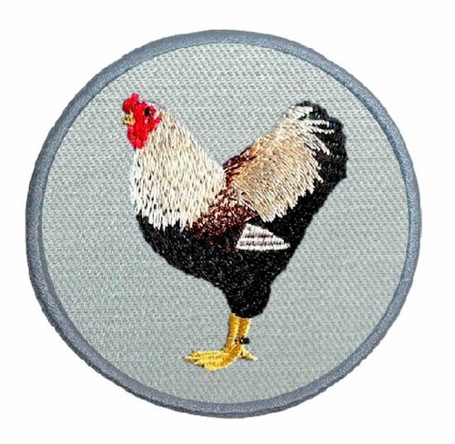 Deutsche wyandotte lachsfarbig - wyandotte,