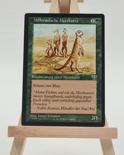 Mißtrauische meerkatze - mißtrauische,