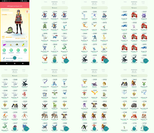 Pokémon acc lvl48 - -, 30